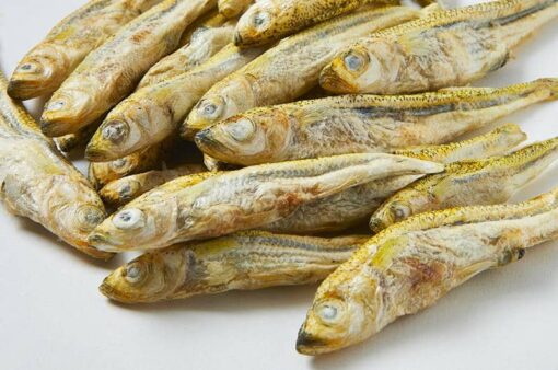 Freeze Dried Silverside Minnows - Image 2