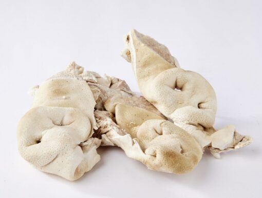 Freeze Dried Pork Snouts - Image 2