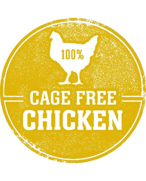 Freeze Dried Chicken Cat Food - Image 5