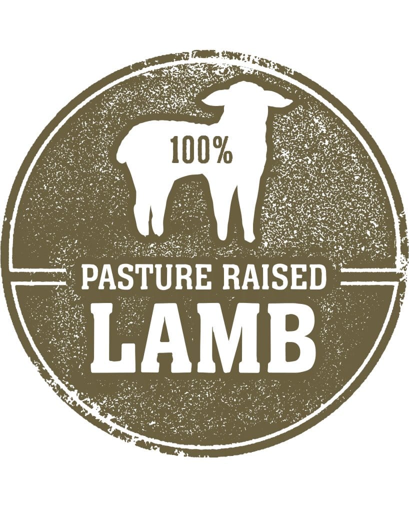 Lamb