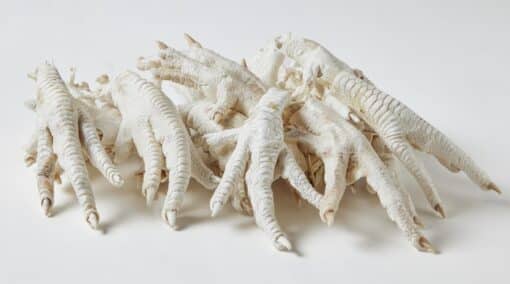 Freeze Dried Chicken Feet - Image 2