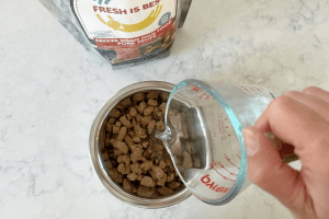 Adding water to freeze-dried dog food before serving.