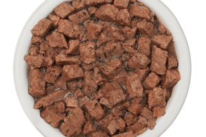 Rehydrated freeze-dried dog food ready for feeding.